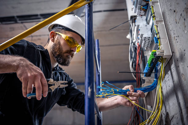 Best Electric Panel Repair  in Grimes, IA